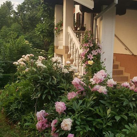Apartmán House Tudic Drežnik Grad Exteriér fotografie
