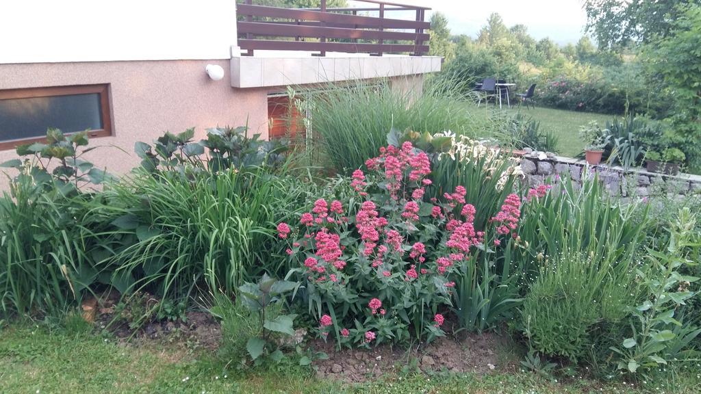 Apartmán House Tudic Drežnik Grad Pokoj fotografie