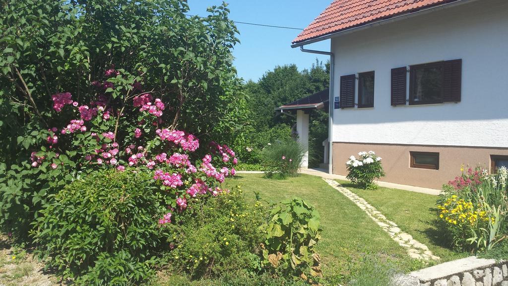 Apartmán House Tudic Drežnik Grad Pokoj fotografie