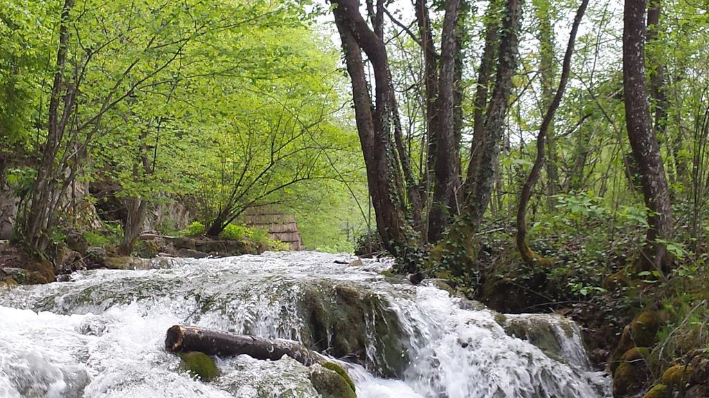 Apartmán House Tudic Drežnik Grad Pokoj fotografie