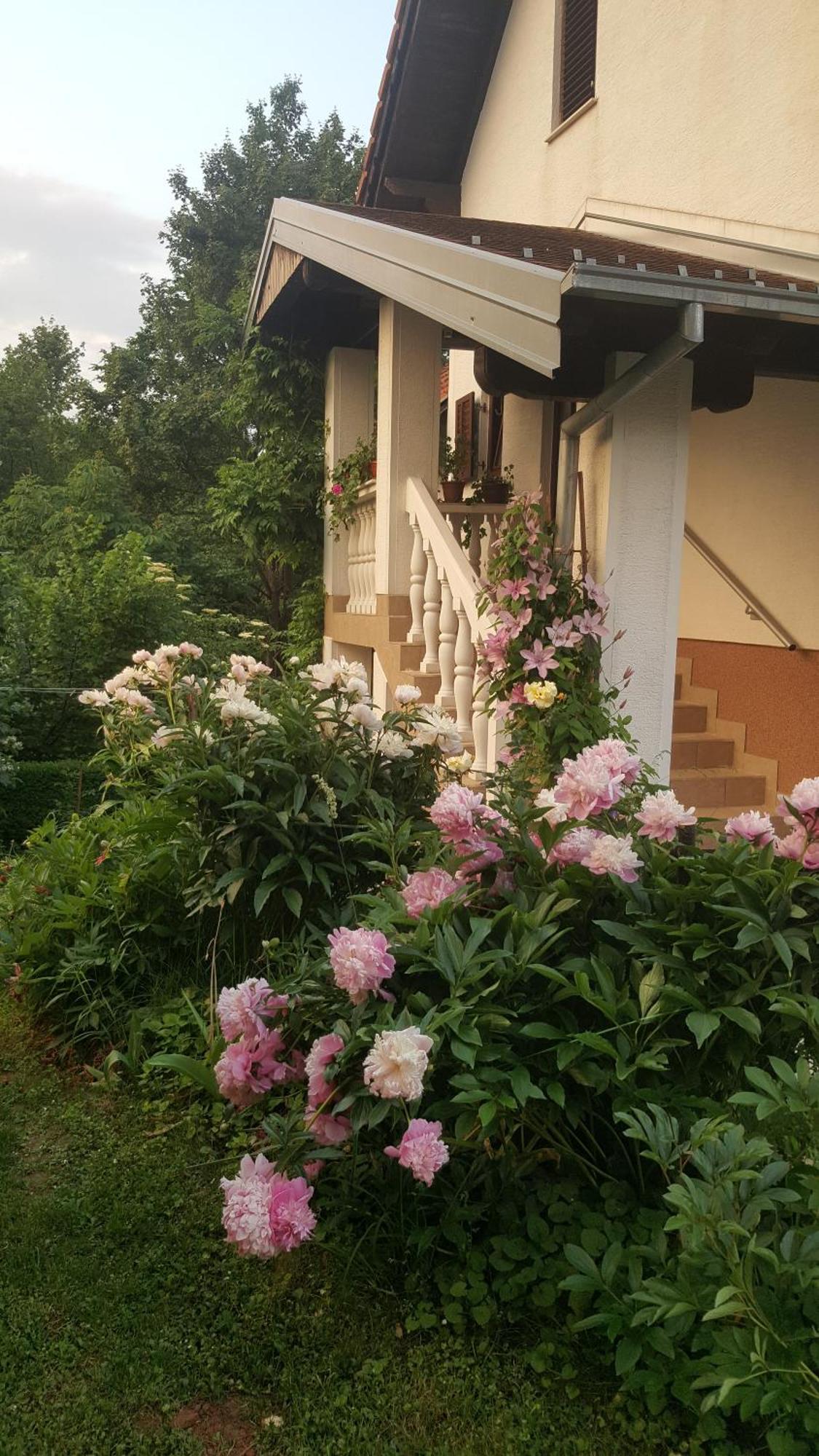 Apartmán House Tudic Drežnik Grad Exteriér fotografie