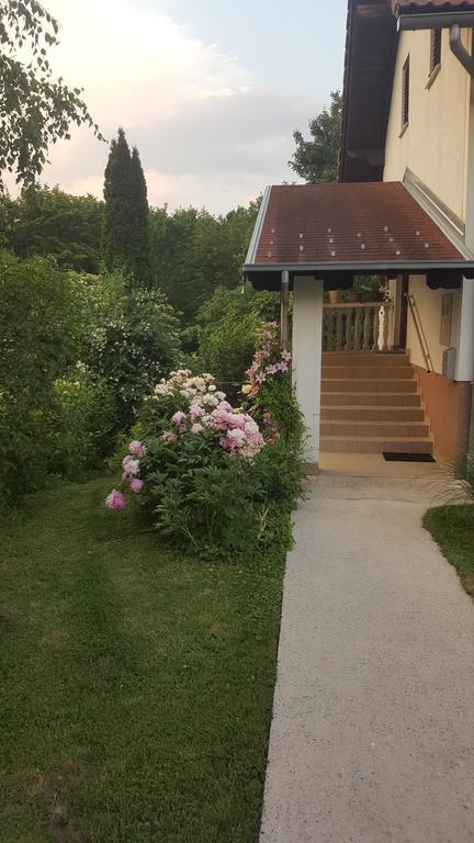 Apartmán House Tudic Drežnik Grad Exteriér fotografie