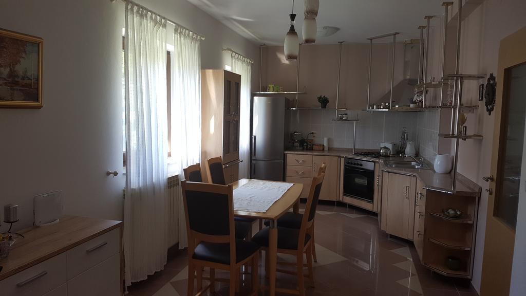 Apartmán House Tudic Drežnik Grad Exteriér fotografie