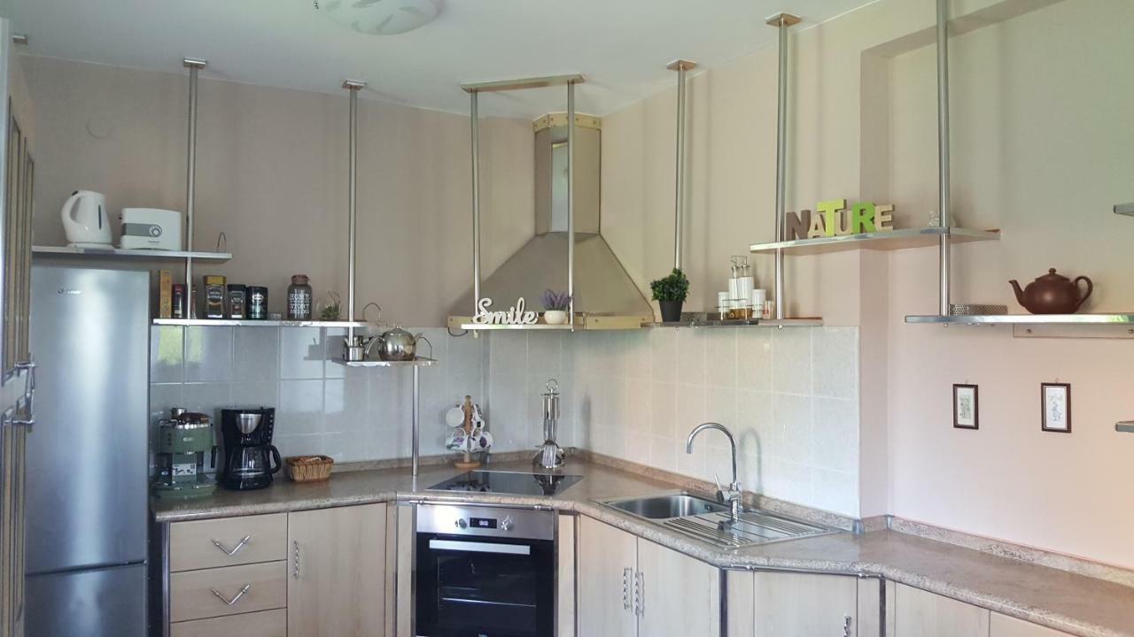 Apartmán House Tudic Drežnik Grad Exteriér fotografie