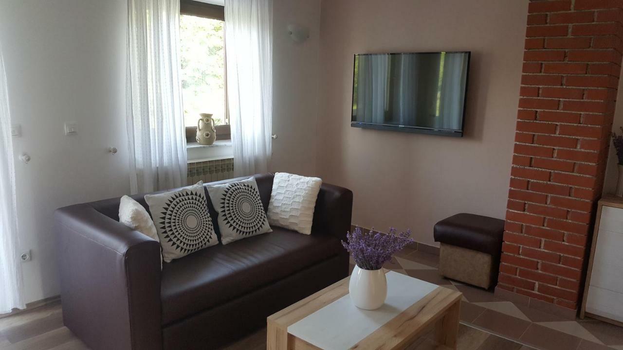 Apartmán House Tudic Drežnik Grad Exteriér fotografie